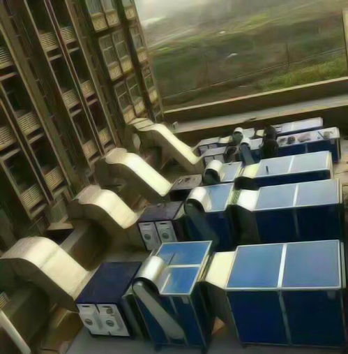 安徽饭店油烟净化器行业专家在线服务 六安市金安区金皖西不锈钢厨房设备厂专业解析